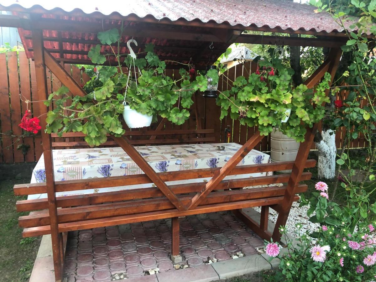 Hotel Casa Todea à Cîmpeni Extérieur photo